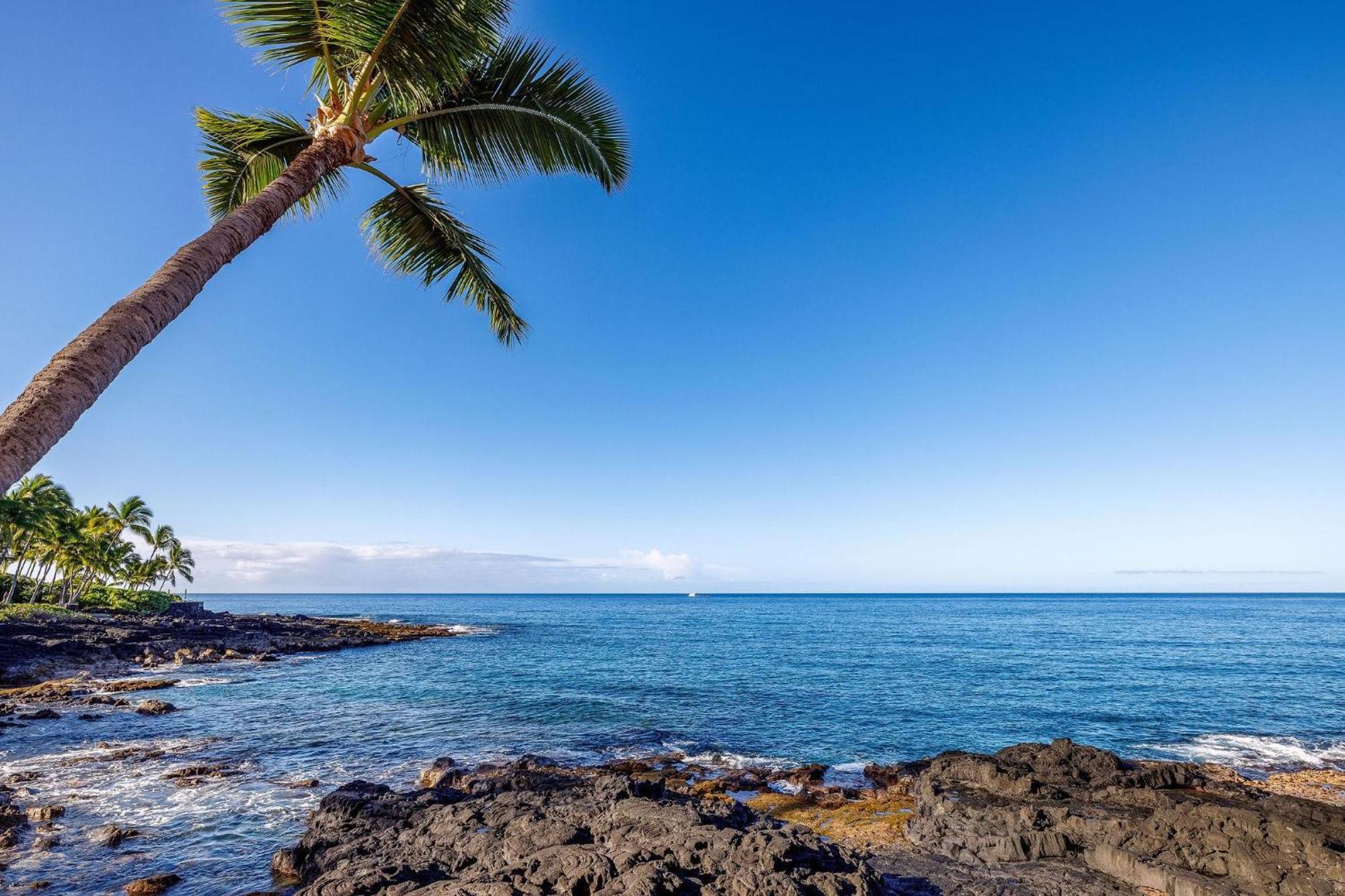 Kona Makai 3-203 Villa Kailua-Kona Exteriör bild